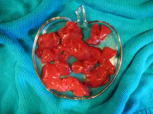 My dog's healthy, non-organic liver