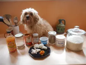 nimble-with-her-home-remedies-for-dog-diarrhea-ingredients.JPG