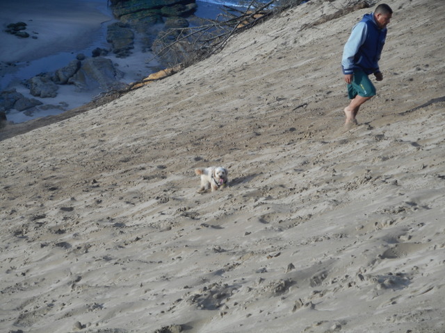 Nimble would never climb this sandune right after eating her safe healthy dog food!