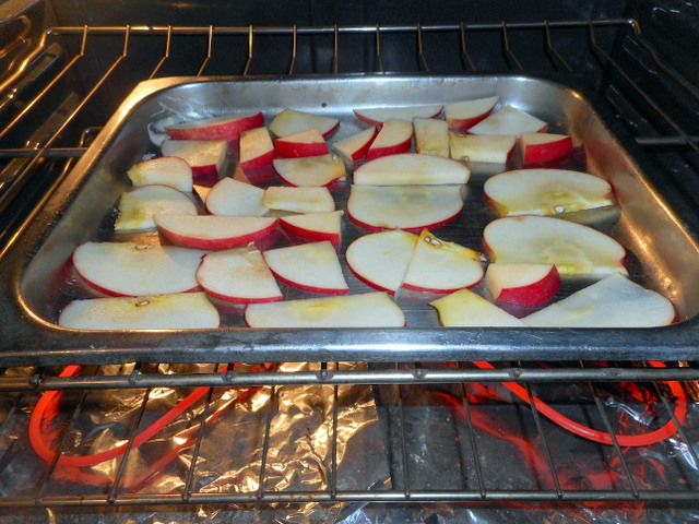 Your dog can enjoy eating apples sliced up and oven-dried