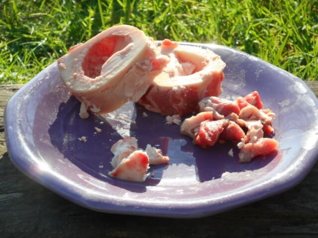 Feeding your dog raw food like this bone marrow will be cherished by your pooch!