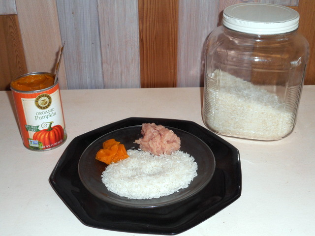Pumkin, rice and chicken meat... how can you miss with this dog diarrhea home made cure?