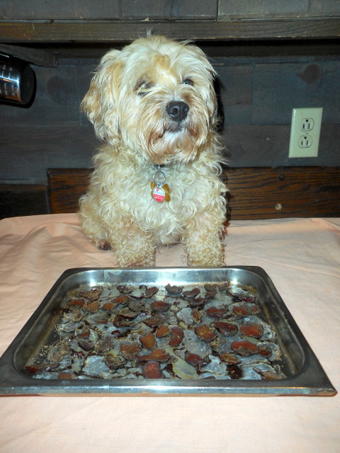 My dog's liver snacks are all cooked and guarded by Nimble!