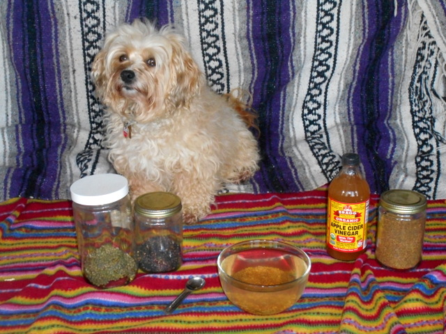 Fleas don't like Nimble's vinegar dog flea remedy.  I add seeds for nutrition.