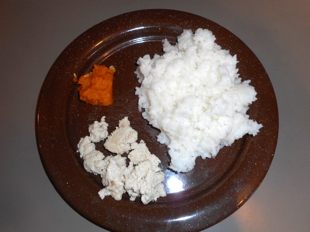 Include steamed chicken and rice with canned pumpkin for your dog diarrhea cure