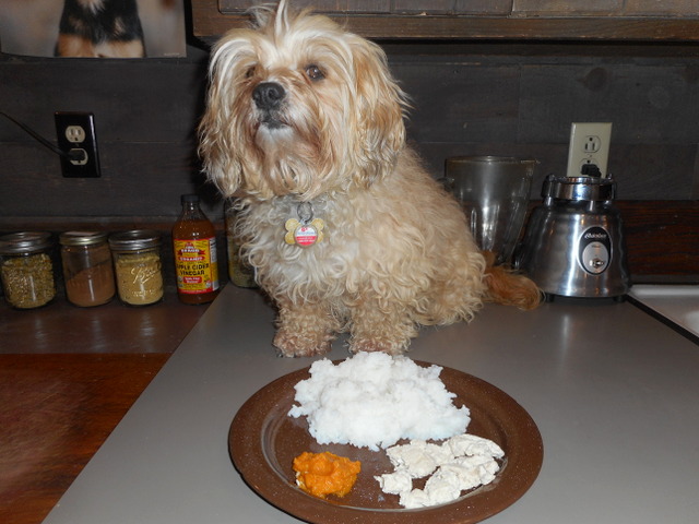 Dog diarrhea cure popular ingredients... chicken, rice and pumpkin