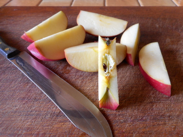 Dogs can certainly eat apples with the core... cut up the whole apple.