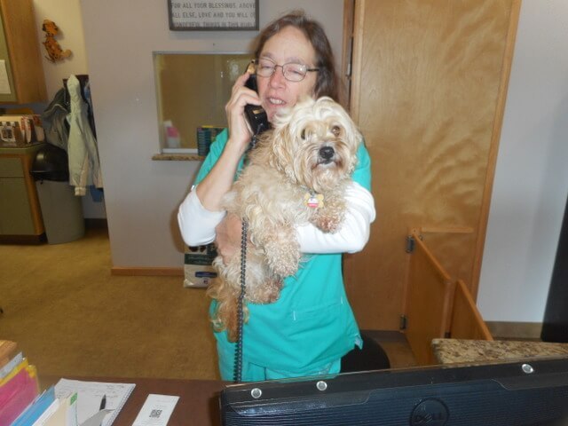 Nimble just dropped by to see her vet... she has no dog ailments