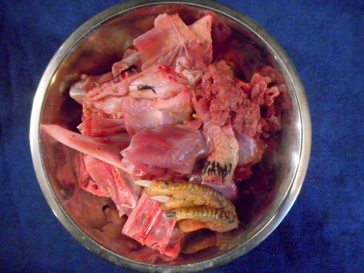 Feed meaty chicken bones like these to your dog and you'll see improvements in her health!