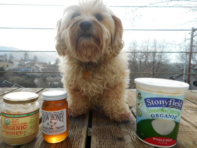 Nimble's proudly showing you her healthy dog food ingredients... organic yogurt and raw honey!