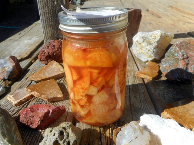 I'm fermenting these apples in a quart jar for my dog and I
