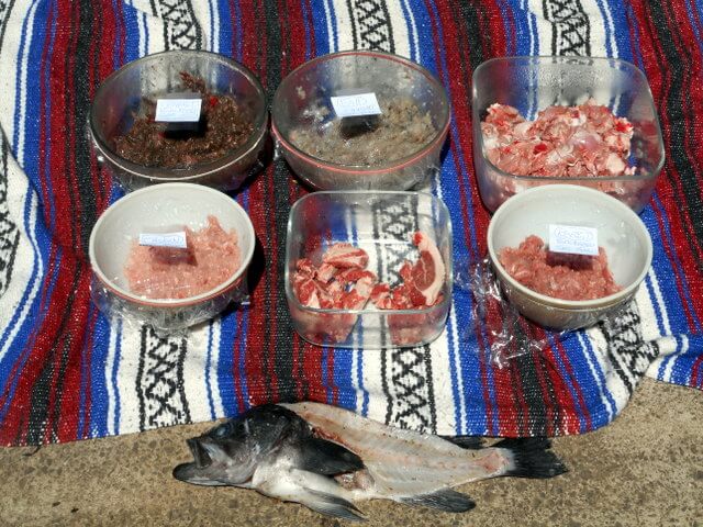 You can feed your dog vegetables and this variety of raw fish and meat at the same time.