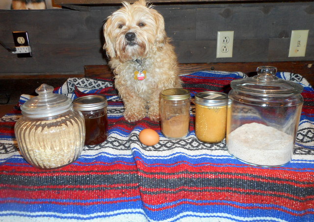 Nimble displays her doggy treat ingredients