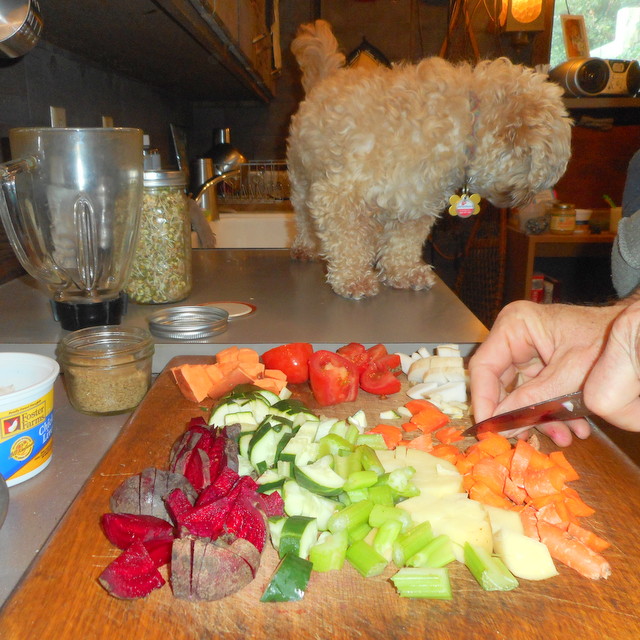 I'm chopping veggies for Nimble and I... what a healthy raw dog food!