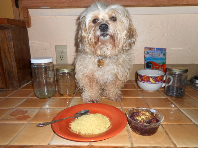Mix nuitritional yeast into your dog's food for nutrition and a dog flea cure.