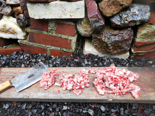 I chopped up some big meaty pork bones into bite-sized pieces for my dog
