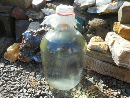 My dog's home purified water