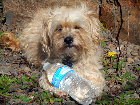 Nimble holding a water bottle