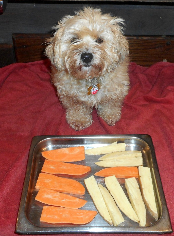 Home made sweet potato chews make great canine snacks!