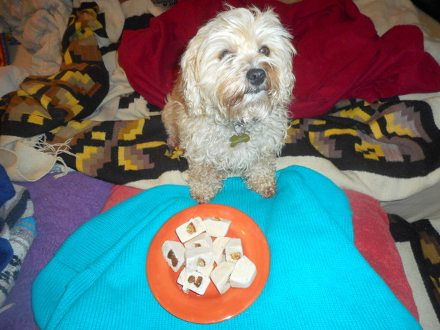 Nimble likes the oatmeal biscuits in her yogurt dog treats!