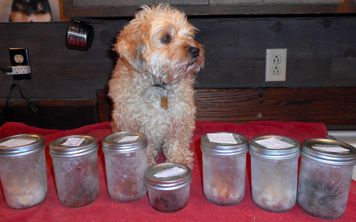 Our home made dog treats are stored in jars...