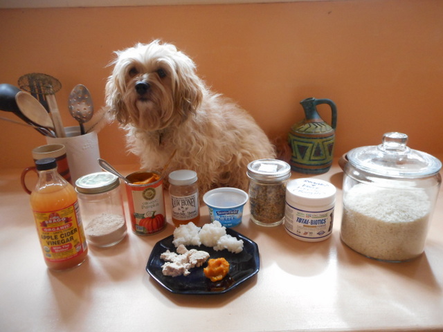Keep a few home remedies for dog diarrhea  in the kitchen in case you need one...