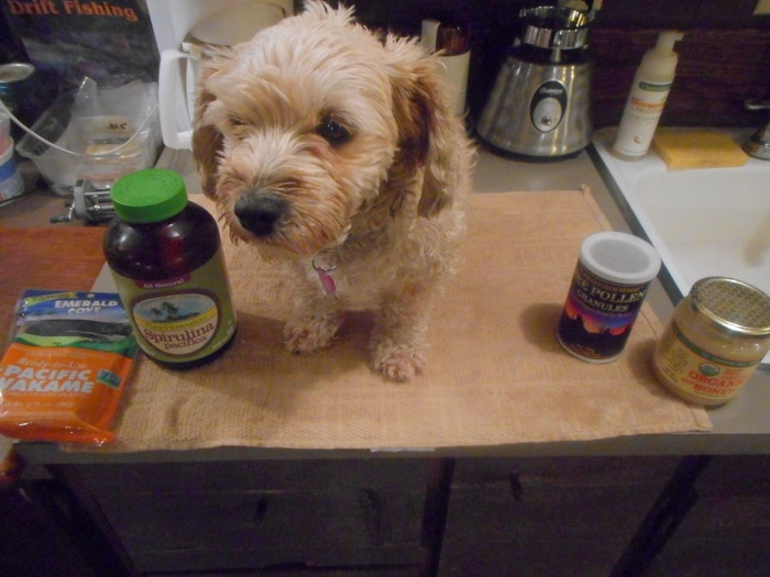 my doggie with her non-organic and organic human grade dog food ingredients.