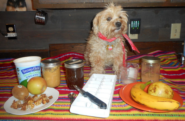 Ingredients needed to make frozen yogurt doggy snacks.