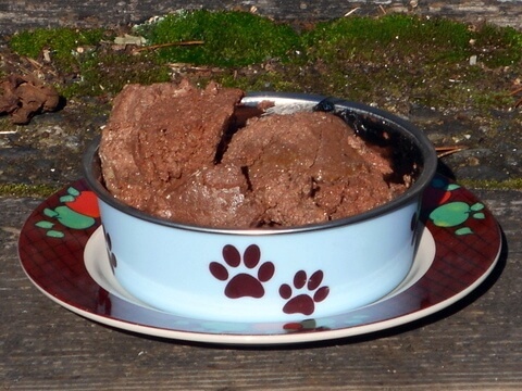 You might find a healthy commercial dog food... but not this canned chocolate ice-cream looking stuff.