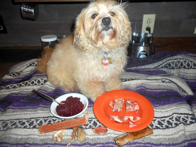 Make your dog work for her rich bone marrow to avoid doggy upset stomach