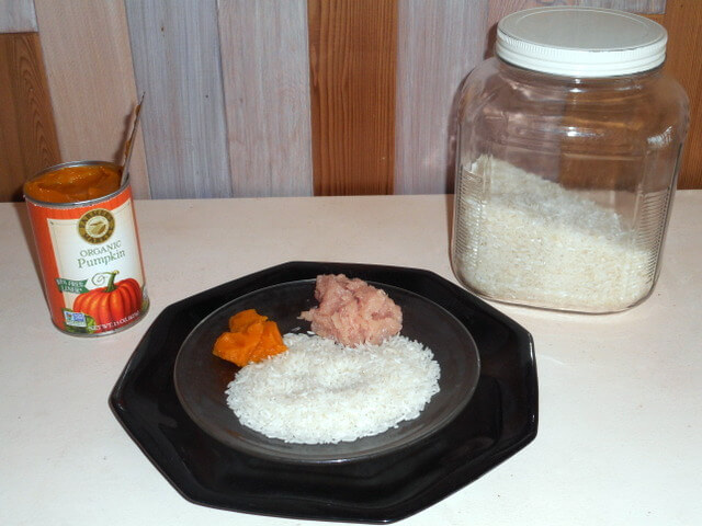 Diarrhea is a very undesirable dog food reaction... stop the runs with rice, canned pumpkin or cook this chicken