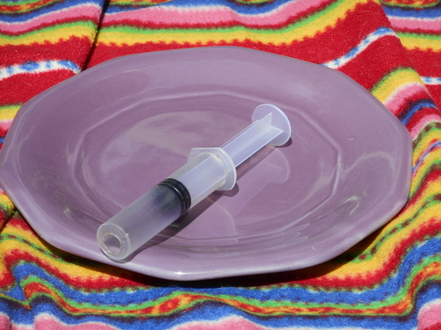 Pureed raw vegetables are fed to dogs with this feeding syringe
