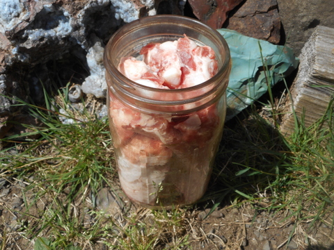 Feed your dog grass-fed, organic meaty bones!