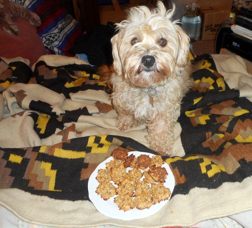 Nimble challenges any dog to a dog treat recipe competition!