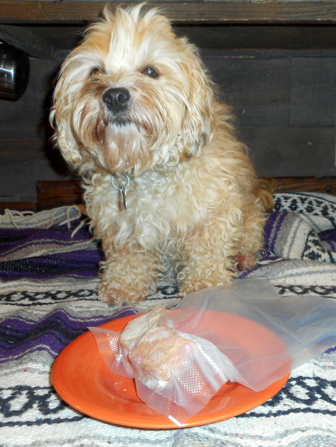 We vacuum seal our home made dog birthday cake pieces