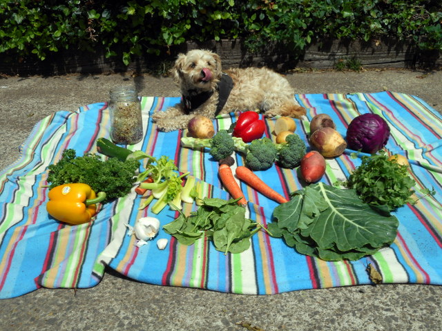 Organic vegetables for dogs is a must!
