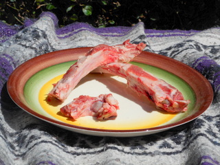 I customized these meaty lamb bones and fed them with vegetables safe for dogs.