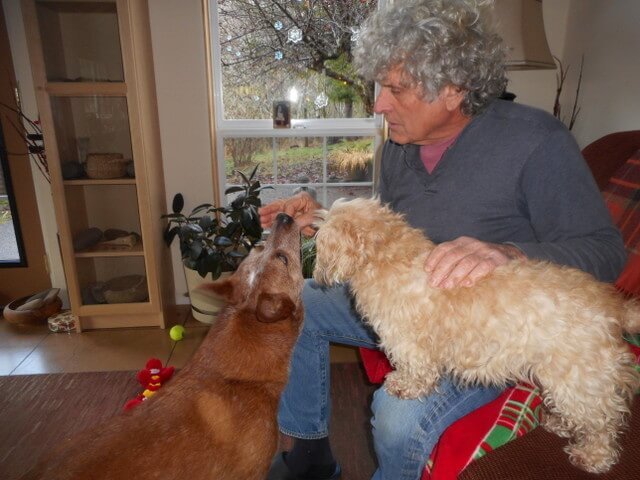 Homemade small dog liver treats are fed slowly.  Some dogs gobble too fast... then throw-up