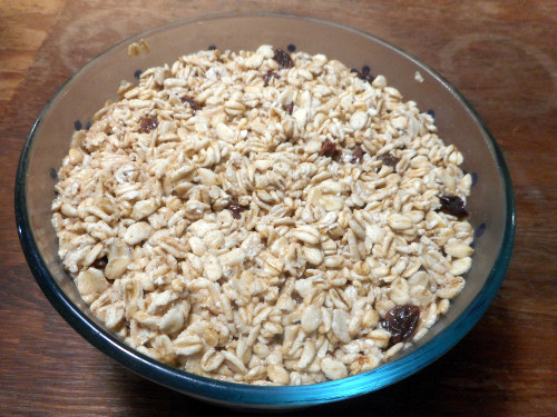 A bowl of soaked oatmeal with raisins for my dog and me
