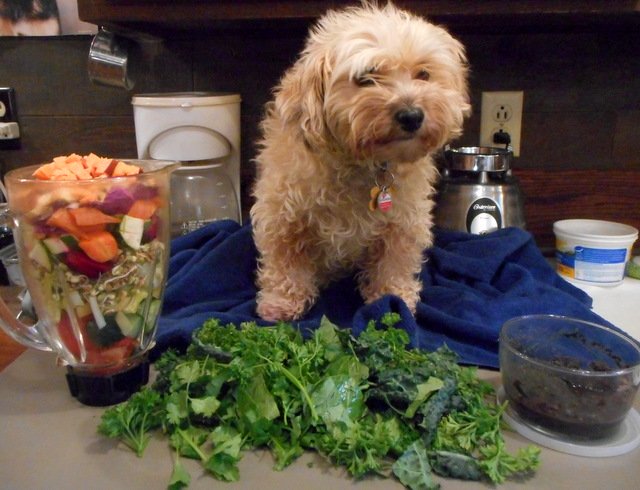 Your dog can eat vegetables and chicken at the same time!