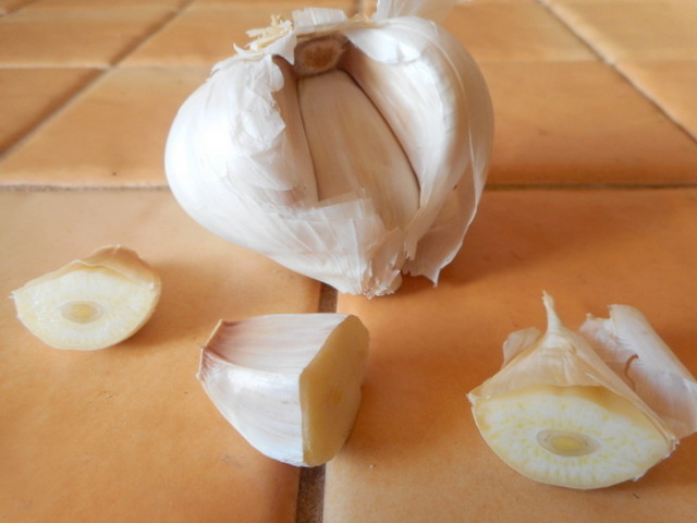 Small amounts of raw, organic garlic should be included in vegetables for dogs