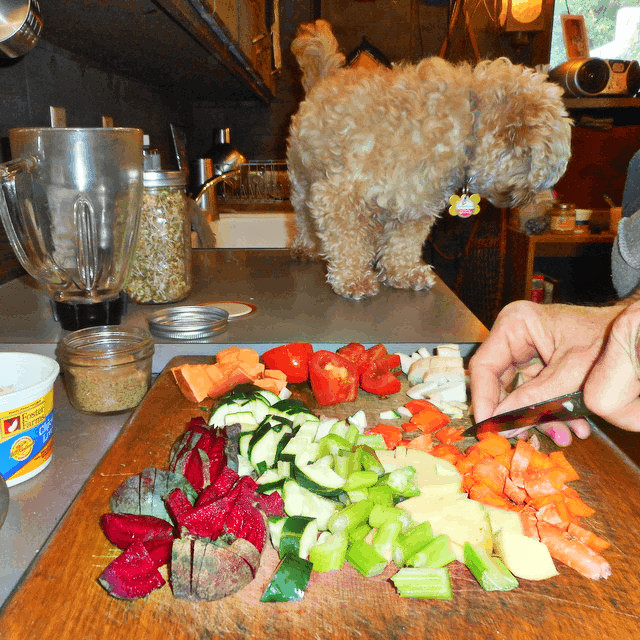 I'm chopping vegetables for my dog's pureed dog treat