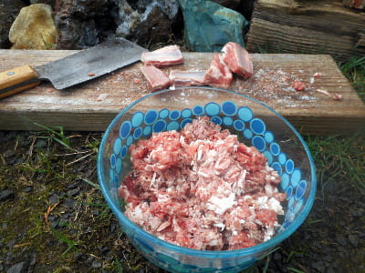 I just finished chopping up these meaty lamb bones for my dog