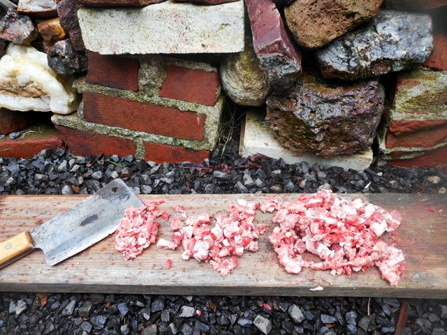 I chopped up some big meaty pork bones into bite-sized pieces for my dog