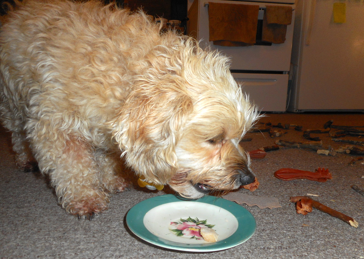 Nimble crunching homemade treats for clean dog teeth!