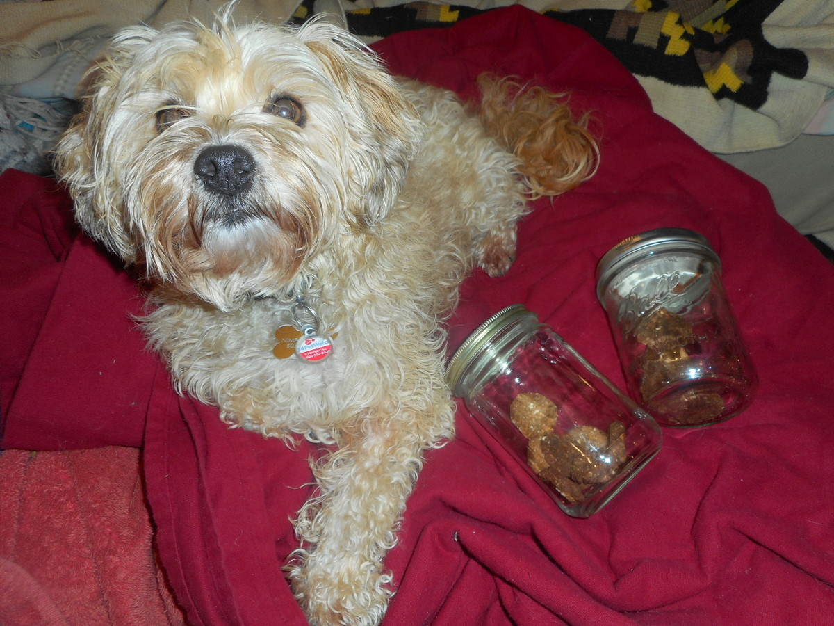 Canning jars work great for storing peanut butter dog treats!