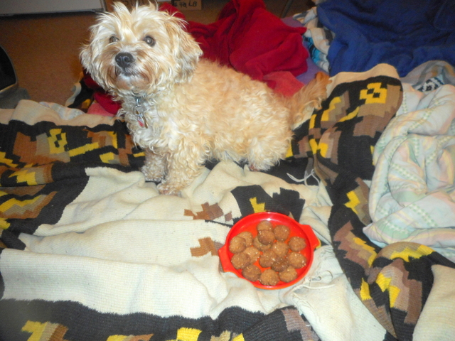 Nimble's killer home made peanut butter dog biscuits!