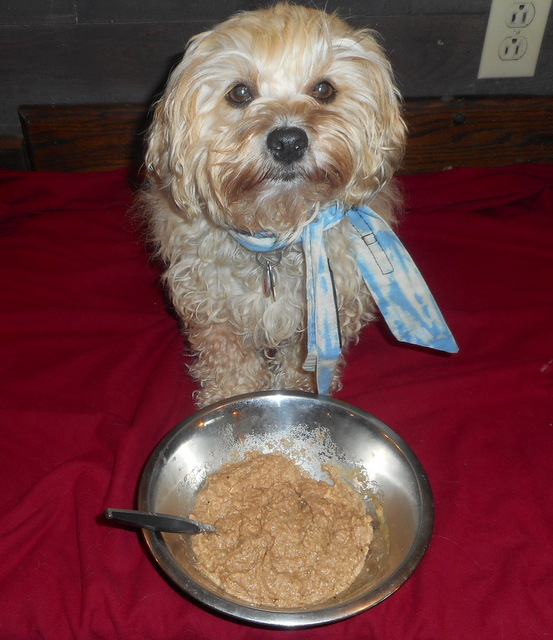 Nimble's dog birthday cake is almost ready for baking