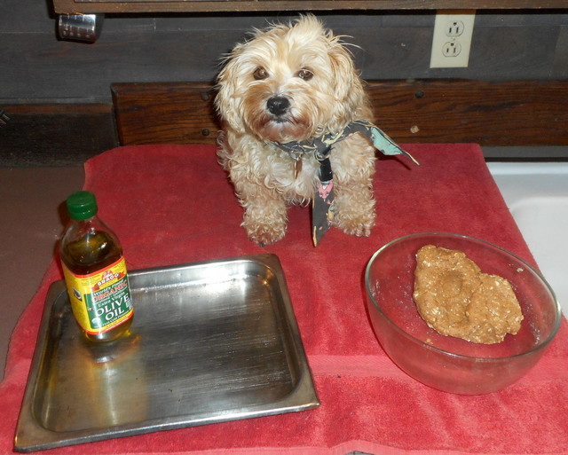 Nimble with her peanut butter dog treat ingredients all mixed up