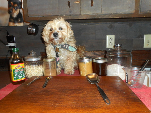 Nimble's simple peanut butter dog treats ingredients...